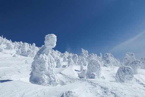 西吾妻山スノーモンスター山行