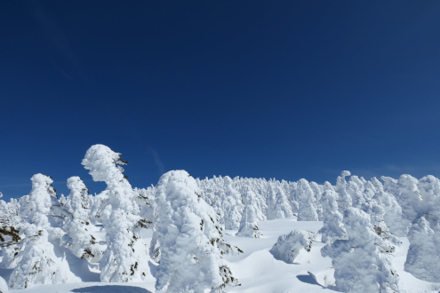 西吾妻山スノーモンスター山行