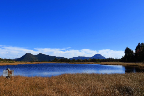 鬼怒沼湿原