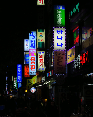 食い倒れ韓国旅行 繫華街