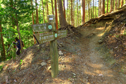 伊豆ヶ岳の登山道