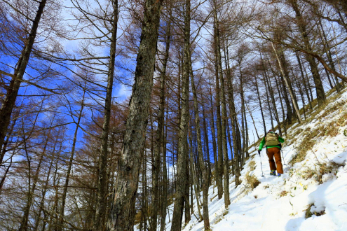日光社山の登山道