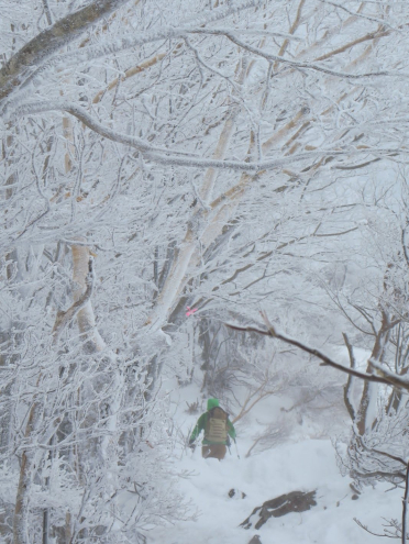 赤城山“黒檜山”登山道
