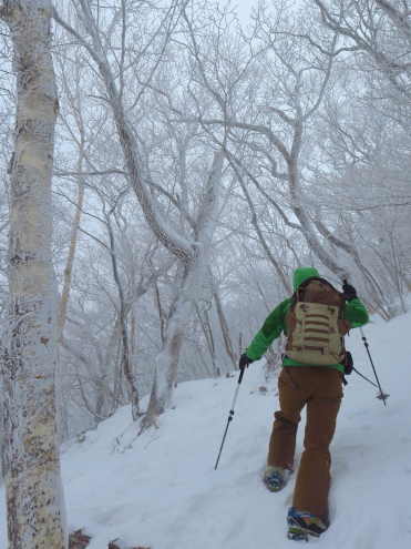 黒檜山登山道