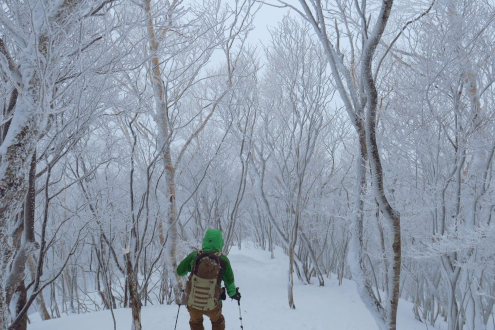 黒檜山登山道