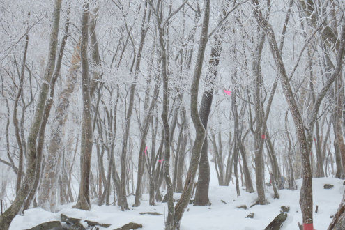 黒檜山登山道