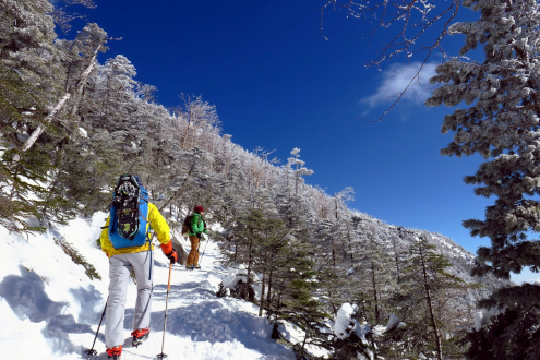 北横岳登山道
