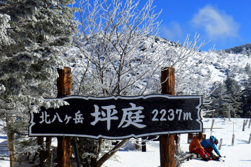 北八ヶ岳坪庭