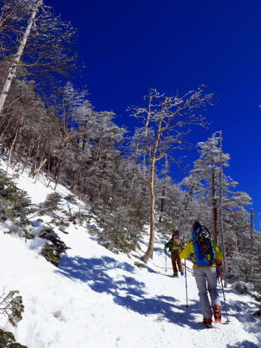 北横岳登山道