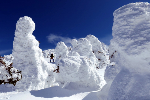 西吾妻山スノーモンスター山行