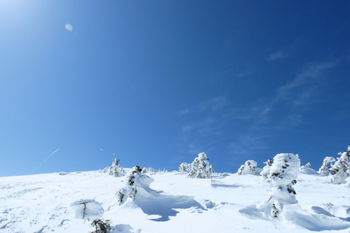 西吾妻山スノーモンスター山行