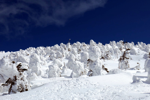 西吾妻山スノーモンスター山行
