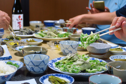 民宿すぎの子の山菜料理