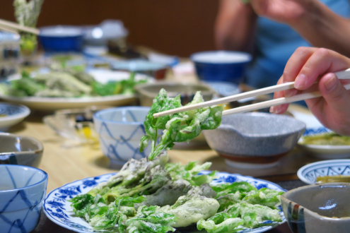 民宿すぎの子の山菜料理
