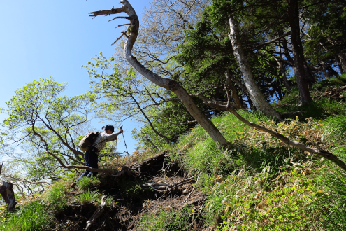 女峰山までの登山道