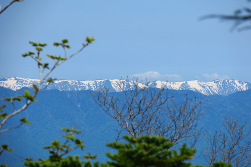 女峰山までの登山道