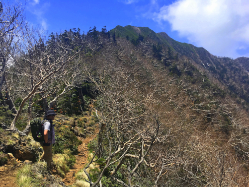 女峰山までの登山道
