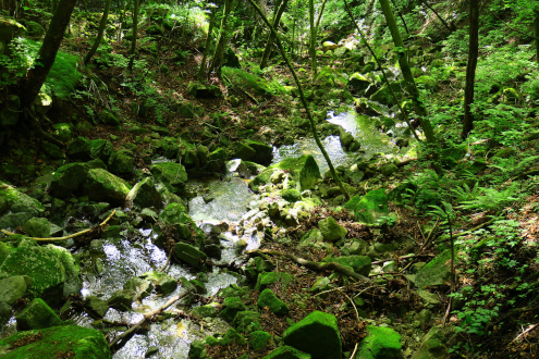 沢沿い道