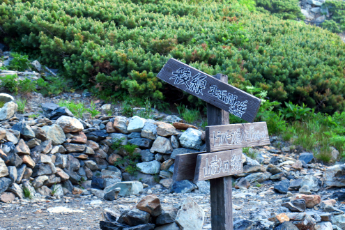 北岳山荘テント場