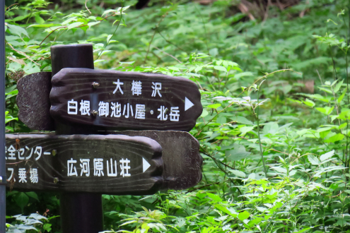 登山道