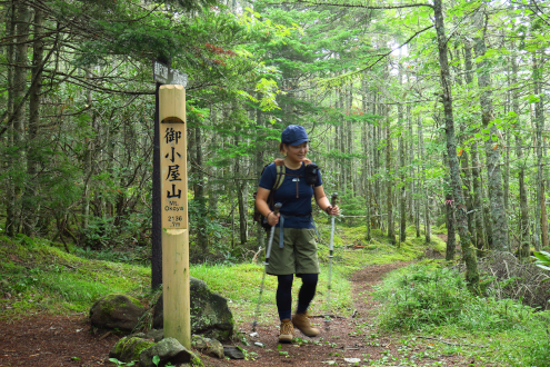 御小屋山 山頂