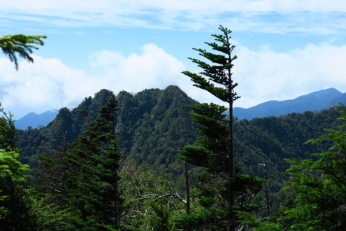鋸山