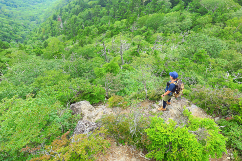 鋸山山頂直下