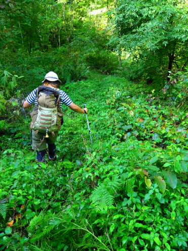 川上登山口付近