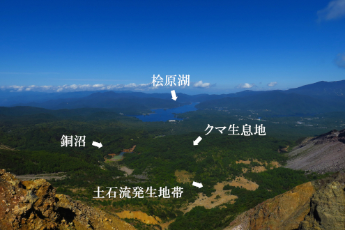 裏磐梯エリア