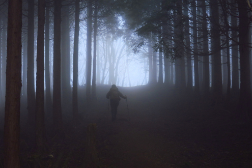 未知との遭遇