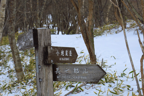 分岐点