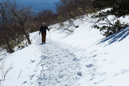 登山道