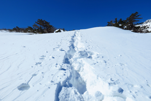 登山道