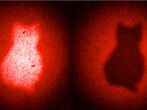 量子もつれレーザーで被写体に当たってない猫の像を映し出すことに成功