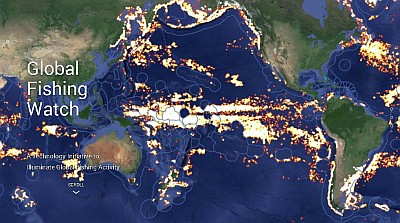 Global Fishing Watch