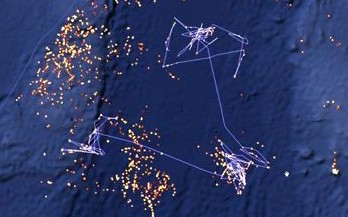 Global Fishing Watch