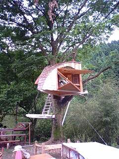 100620_1125~0003.jpg