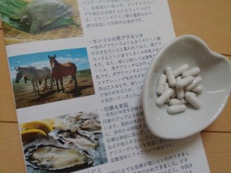 プラセンタみやび