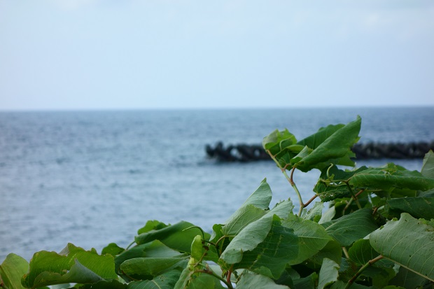北海道ブログ1日め1.jpg