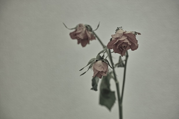 薔薇完成形3ブログ用.jpg