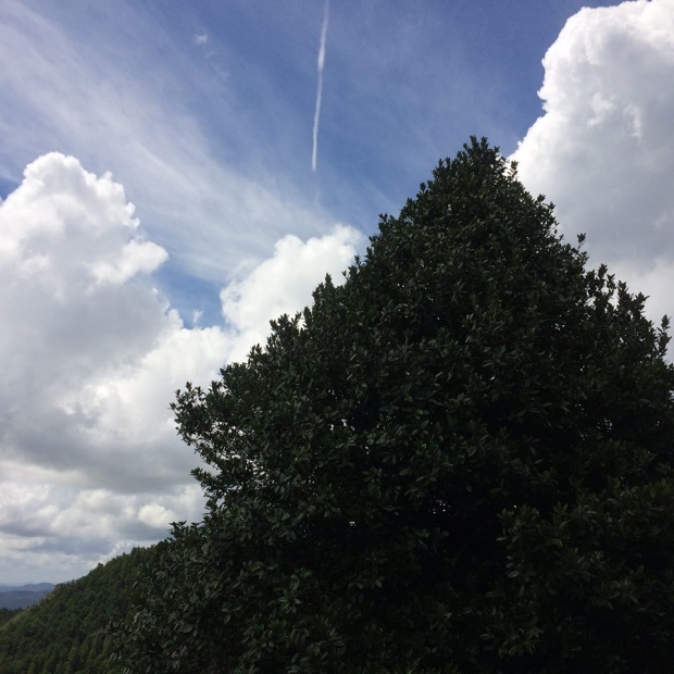 2018.9.8光明山20.jpg