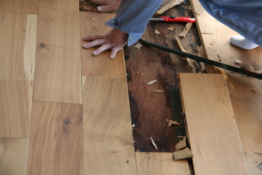 floor