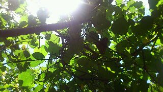 rps20130529_132638_374.jpg