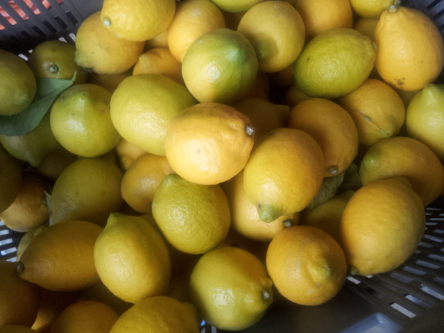2013-01-02 12.37.35.jpg