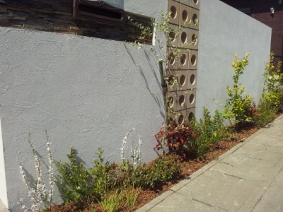 2014-03-11 11.51.13.jpg