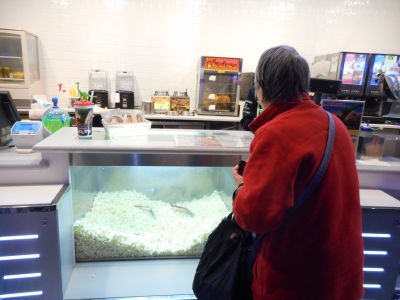 DSCN2257.JPG