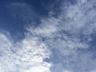 iPhoneImage.png