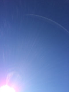iPhoneImage.png