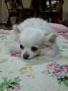 20120408_163741.jpg