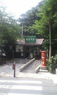 D1000006.jpg